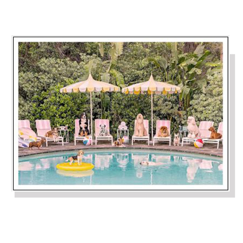 Wall Art 60cmx90cm Dogs at Beverley Hills Hotel White Frame Canvas - Main Image