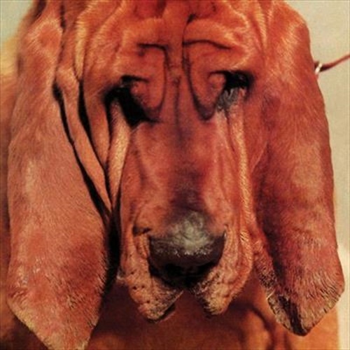 Goodbye Bread - Segall, Ty Cd Album - Main Image