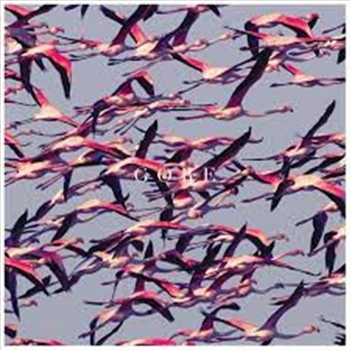 Gore - Deftones Cd Album - Main Image