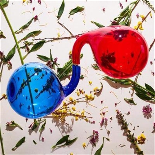 Lamp Lit Prose - Dirty Projectors Cd Album - Main Image