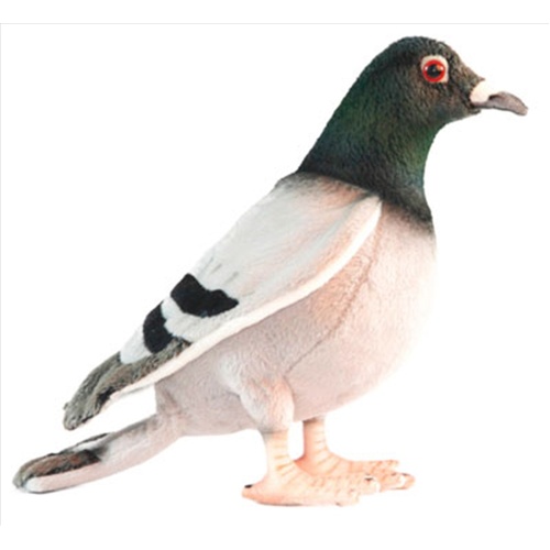 Pigeon 29cm L - Main Image