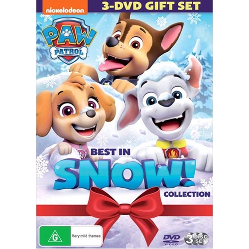 Paw Patrol - Best In Snow DVD - Main Image