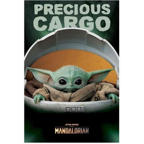 Star Wars: The Mandalorian - Precious Cargo - Main Image