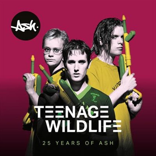 Teenage Wildlife: 25 Years Of - Ash Cd Album - Main Image