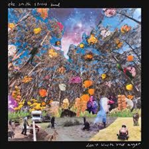 Dont Waste Your Anger - Smith Street Band Cd Album - Main Image