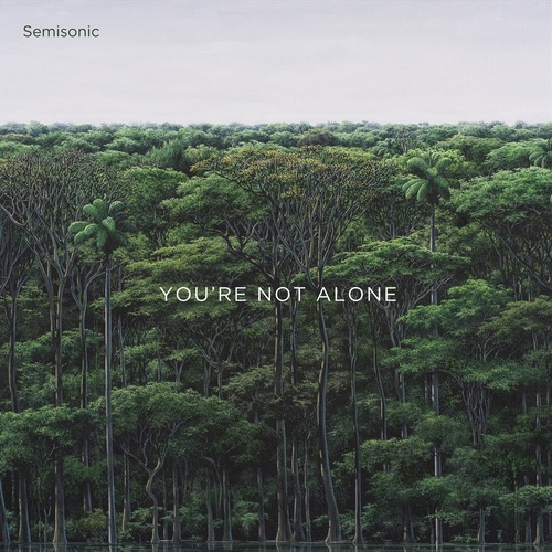 Youre Not Alone - Semisonic Cd Album - Main Image