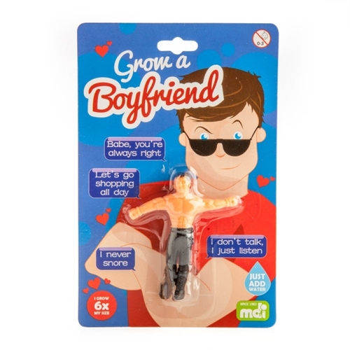Grow A Boyfriend - Main Image