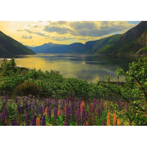 Fjord In Norway Puzzle 1000 Piece Puzzle - Main Image