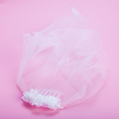 Hens Party Comb And Veil - Main Image