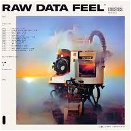 Raw Data Feel - Everything Everything Cd Album - Main Image