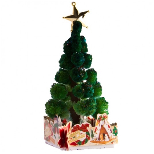 Grow Magic Christmas Tree - Main Image