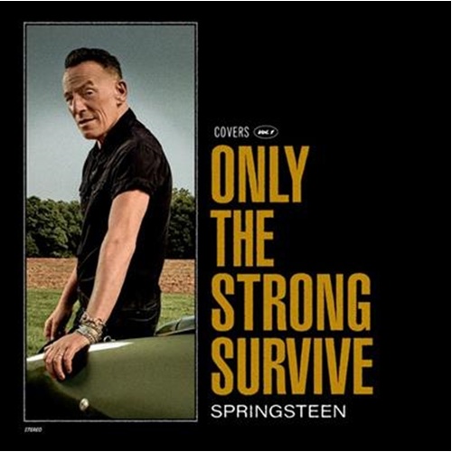Only The Strong Survive - Springsteen, Bruce Cd Album - Main Image