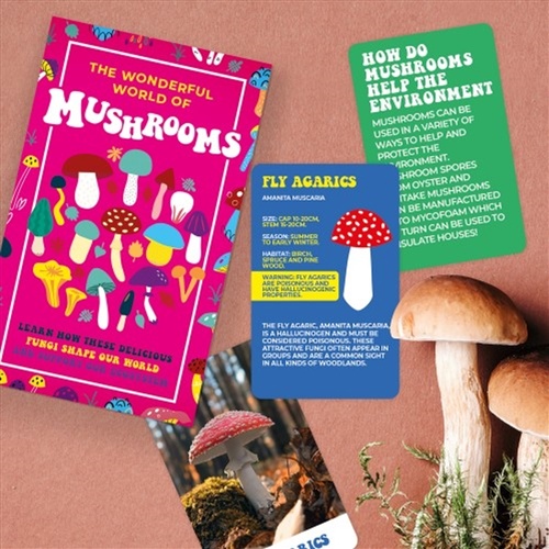 The Wonderful World Of Mushrooms - Main Image