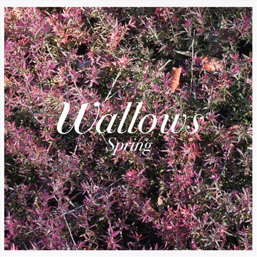 Spring - Wallows Cd Album - Main Image