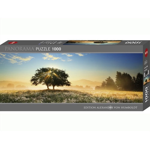 Panorama, Play Of Light 1000 Piece - Main Image