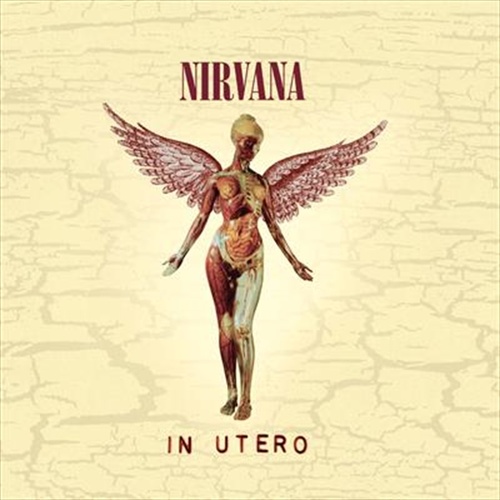 In Utero - 30Th Anniversary - Nirvana Cd Album - Main Image
