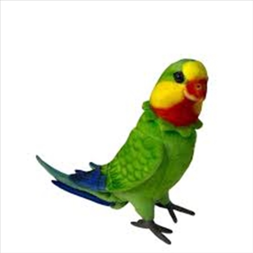 Poseable Superb Parrot 30cm - Main Image
