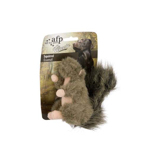 Dog Plush Toy - Squirrel Squeaky Interactive Small Life Like Pet Puppy Play - Main Image