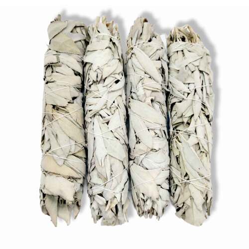 4x Californian White Sage Smudge Sticks - Jumbo 20-22cm Incense Cleansing Bundle - Main Image