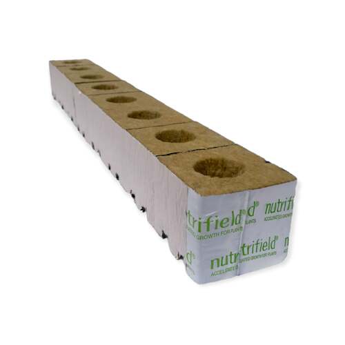 75x75x65mm Stonewool 8pk - Planting Propagation Growing Assist Block Nutrifield - Main Image