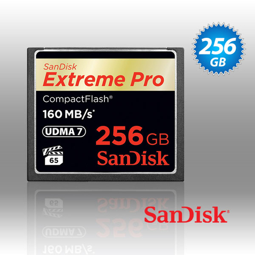 SanDisk Extreme Pro CFXP 256GB CompactFlash 160MB/s (SDCFXPS-256G) - Main Image