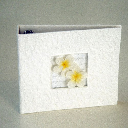 Frangipani DVD CD Disc Storage Album Cream Mulberry paper with Frangipani's - Holds 20 Discs - Main Image