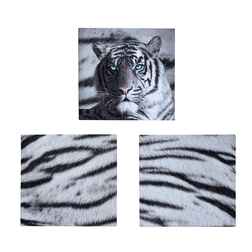 Just Home Set of 3 Printed Blue Eyes Stripes Tiger Wall Canvas - Main Image