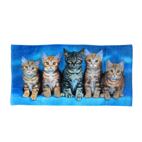 Curious Kittens Cotton Beach Towel - Main Image