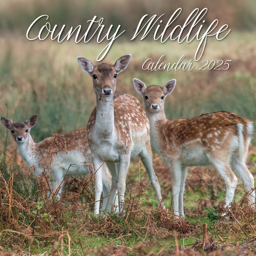 Country Wildlife - 2025 Square Wall Calendar Animals 16 Months Premium Planner - Main Image
