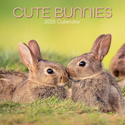 Cute Bunnies - 2025 Square Wall Calendar Pets Animals 16 Months Premium Planner - Main Image