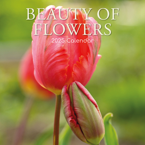 Beauty of Flowers 2025 Square Wall Calendar Floral 16-Month Premium Planner Gift - Main Image