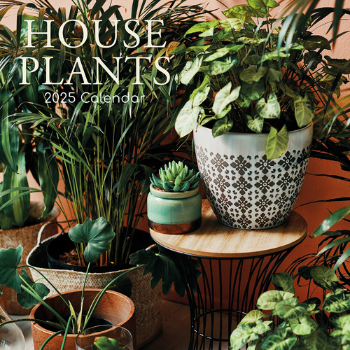House Plants - 2025 Square Wall Calendar Floral 16 Months Premium Planner Gift - Main Image