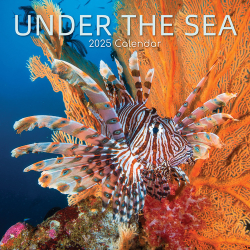 Under the Sea 2025 Square Wall Calendar 16 Months New Year Premium Planner Gift - Main Image