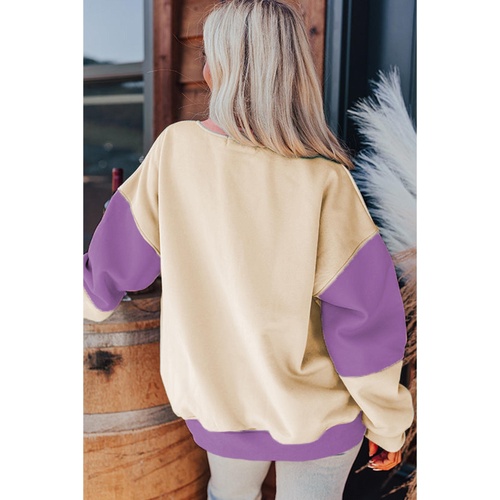 Meadow Mauve Colorblock Patchwork Drop Shoulder Sweatshirt - 2XL - Main Image