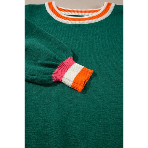 Blackish Green Colorblock Striped Trim Drop Shoulder Sweater - L - Main Image