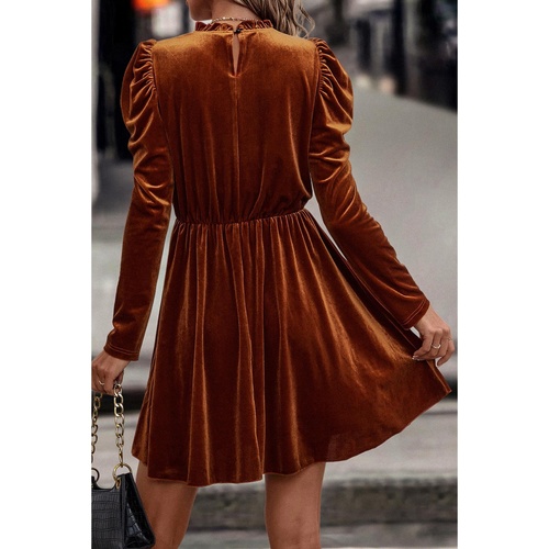 Chestnut Velvet Frilled Neck Gigot Sleeve Swing Dress - L - Main Image