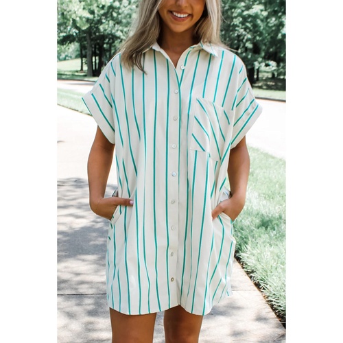Mint Green St Patricks Striped Wide Short Sleeve Shift Mini Shirt Dress - L - Main Image