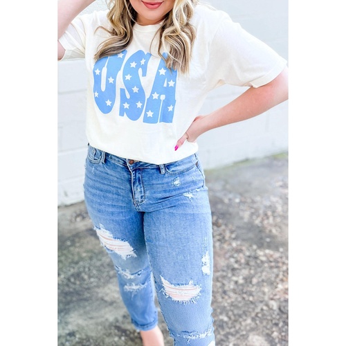 Sky Blue USA Graphic Crewneck Plus Size Patriotic Tee - 3X - Main Image