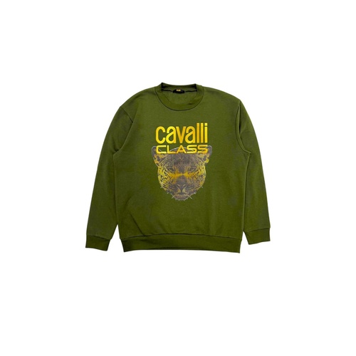 Cavalli Class Men's Green Polyester Sweater - M - Main Image