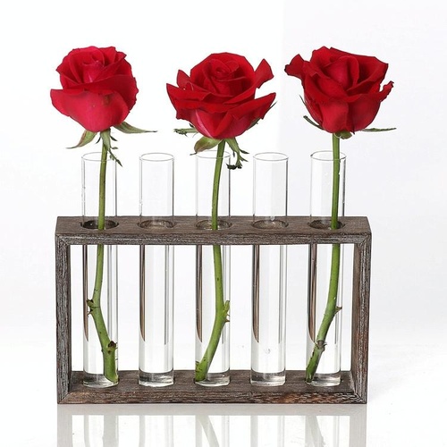 Minimalist Hydroponic Glass Vase with Wooden Frame for Coffee Shop Decor - Main Image