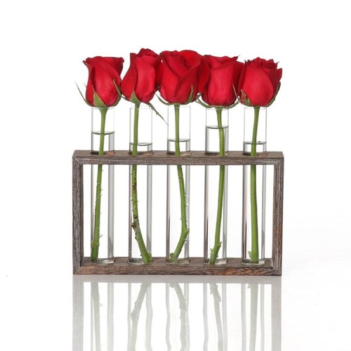 Minimalist Hydroponic Glass Vase with Wooden Frame for Coffee Shop Decor - Main Image