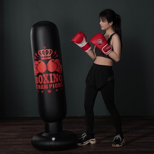 Adult Inflatable Vertical Boxing Column - 1.6M Non-Tumbler Sandbag - Crown - Main Image