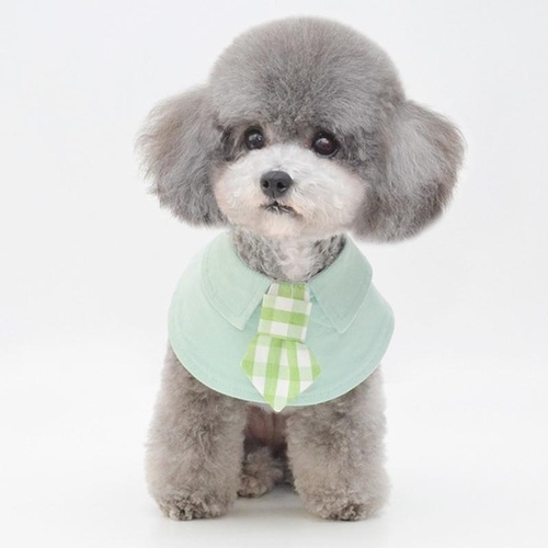 Pet Shawl Scarf Saliva Towel Dog Clothes Accessories - Size L - Green - Main Image