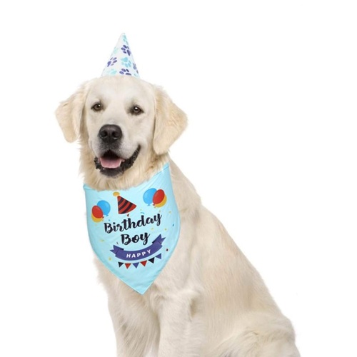 Pet Birthday Saliva Towel Double Cotton Triangle Scarf - Blue - Main Image