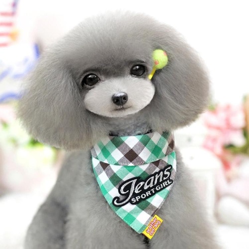 Pure Cotton Plaid Dog Scarf Small And Medium-Sized Dog Saliva Towel - Size L40-50Cm - Green - Main Image