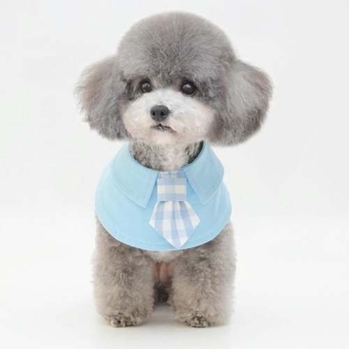 Pet Shawl Scarf Saliva Towel Dog Clothes Accessories - Size S - Blue - Main Image
