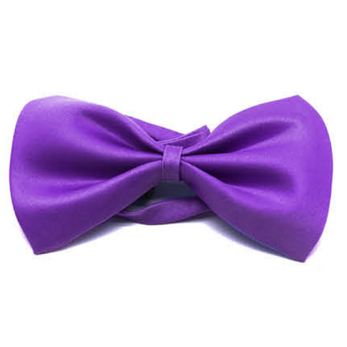 Mens BOW TIE Wedding Tuxedo  Formal Bestman Necktie Classic Plain Party - Purple - Main Image