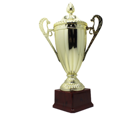 Large Classic Gold Trophy Cup Novelty Winners Prize Solid Achievement Award - Main Image