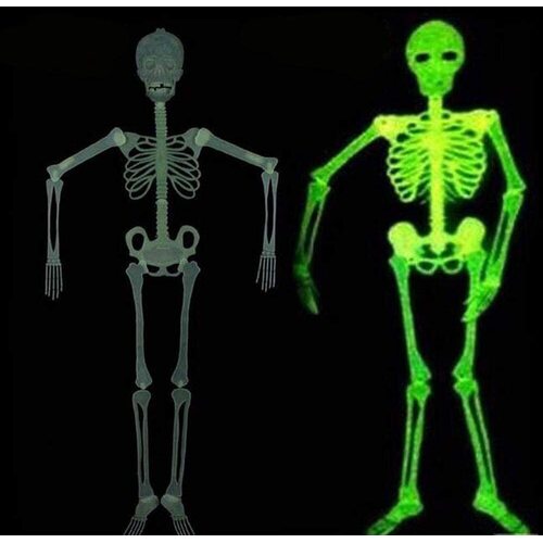 90cm Glow in The Dark Skeleton Halloween Plastic Hanging Scary Spooky Decoration - White - One-Size - Main Image
