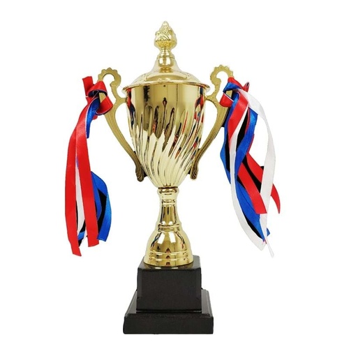 TROPHY CUP Sport Award Football School Table Tennis Gold Trophie - 30cm - Main Image